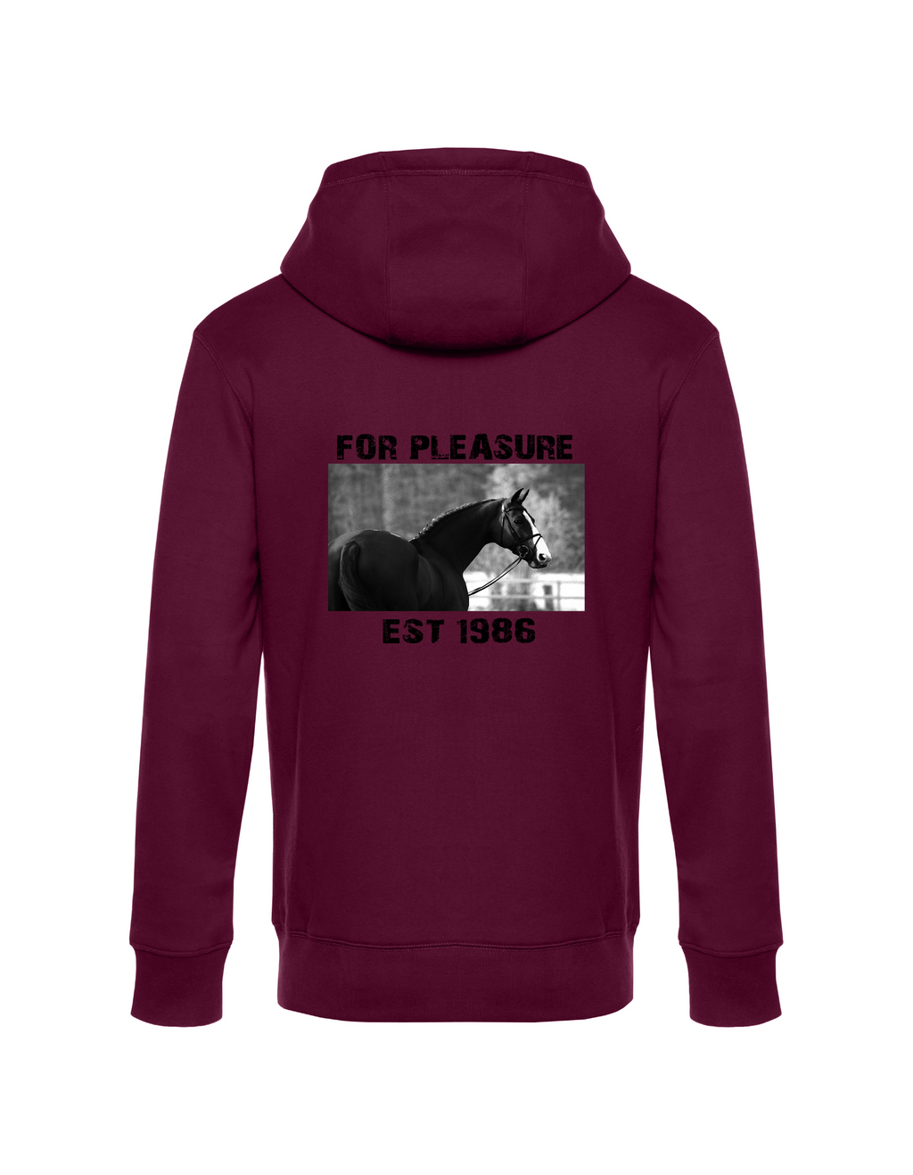 SWEAT À CAPUCHE SOULMATE POUR HOMME | PERSONNALISEZ AVEC VOTRE PROPRE NOM DE CHEVAL OU D'ANIMAL