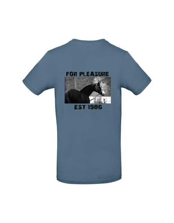 SOULMATE MEN'S HOODIE | PERSONALIZE WITH YOUR OWN HORSE OR ANIMAL NAME