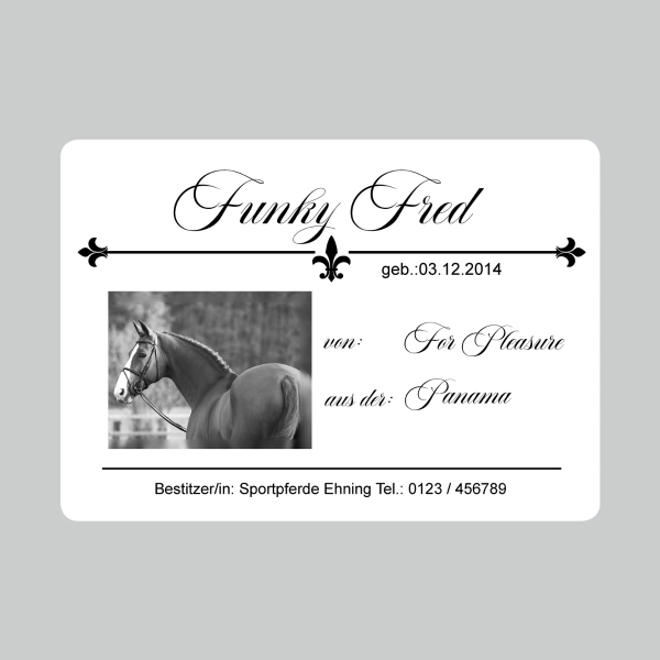 Funky Fred | Boxenschild